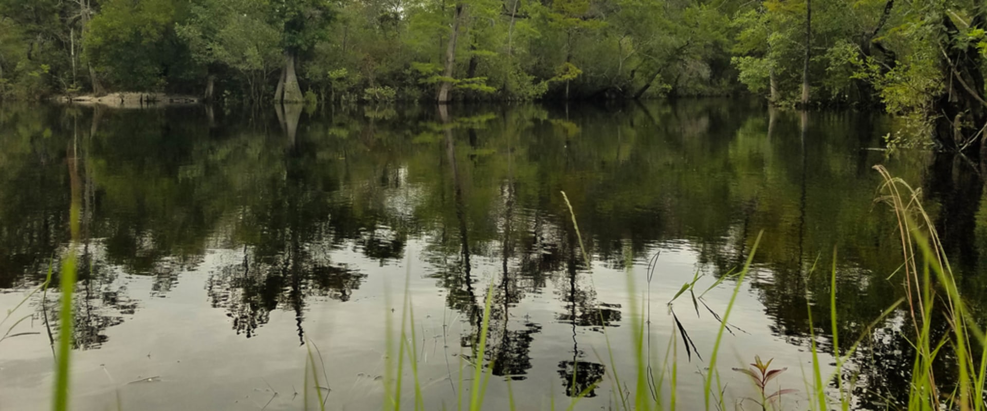 Exploring the 5 Best State Parks Near Panama City, Florida